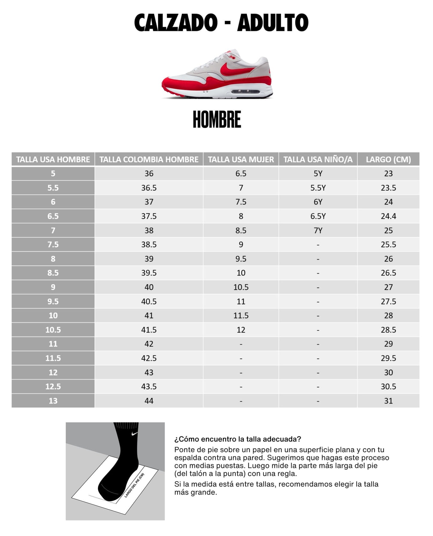 Tenis Nike Hombre Promina FV5285-300