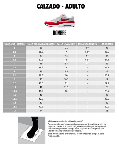 Tenis Nike Hombre Promina FV5285-300